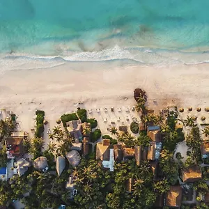 Casa Violeta Hotel Tulum